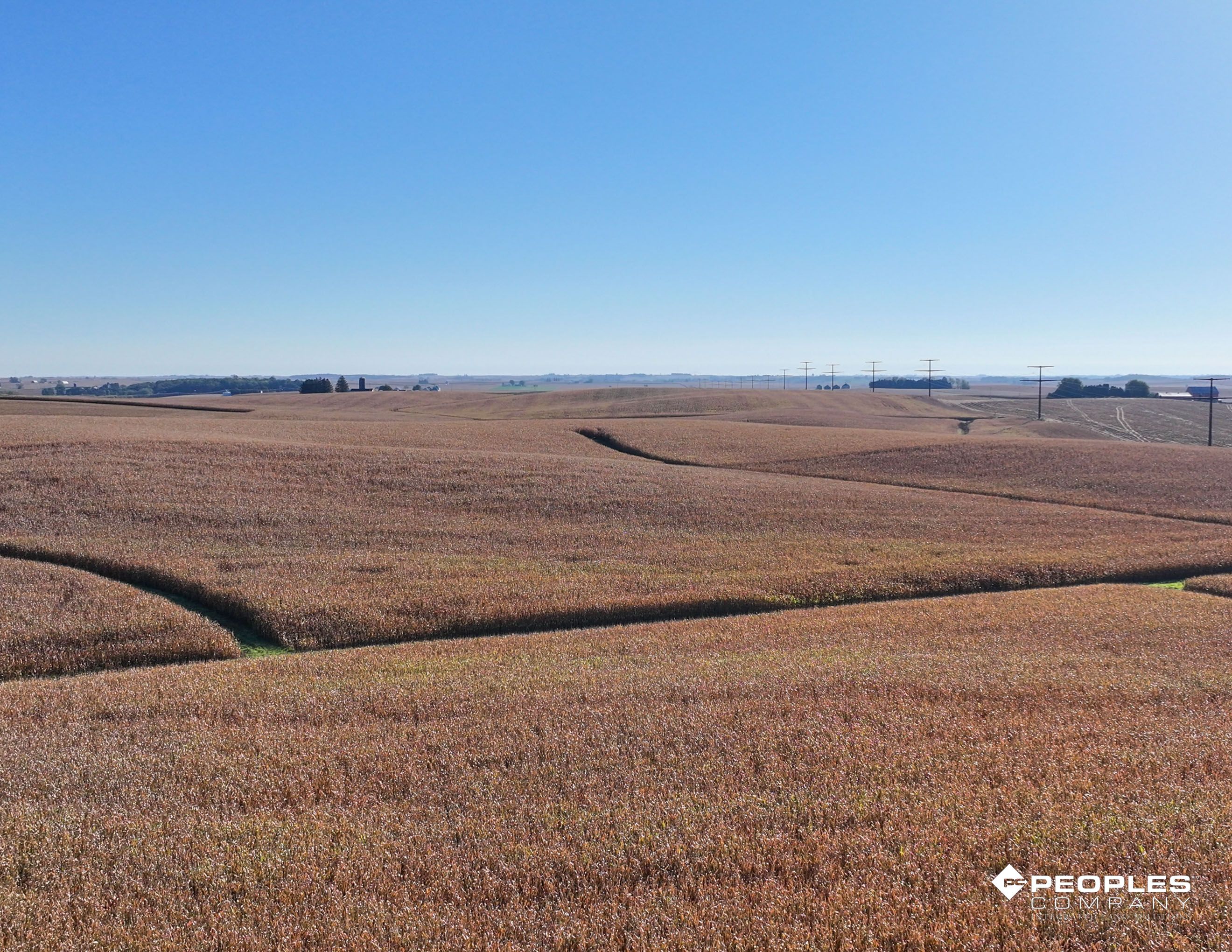 Listing Photo: Web 3